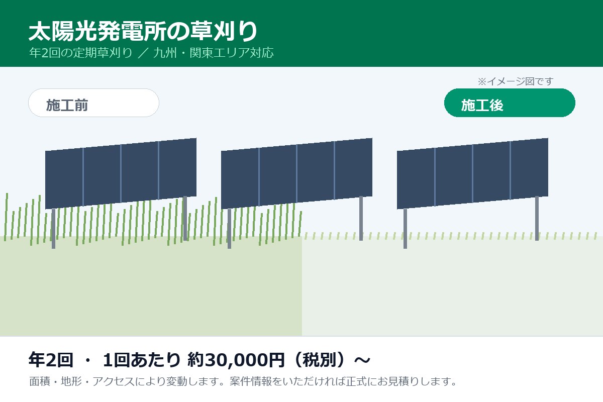 太陽光発電所の草刈り（年2回・定期）九州・関東エリア対応 — 画像1